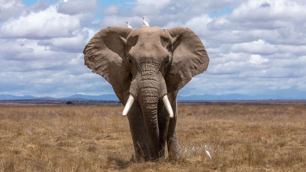 Botswana