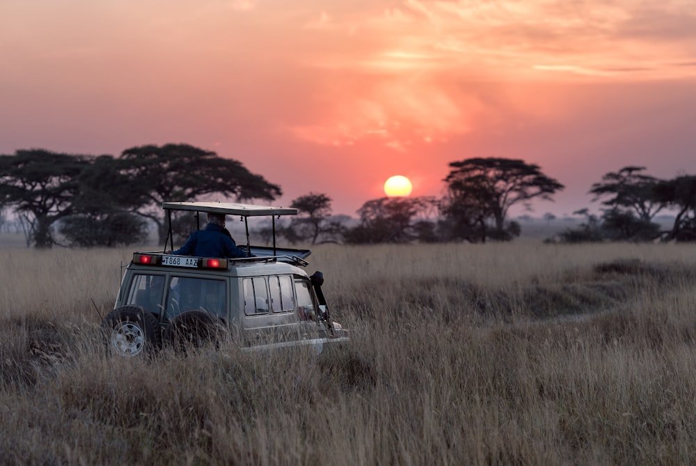 Tanzania & Zanzibar