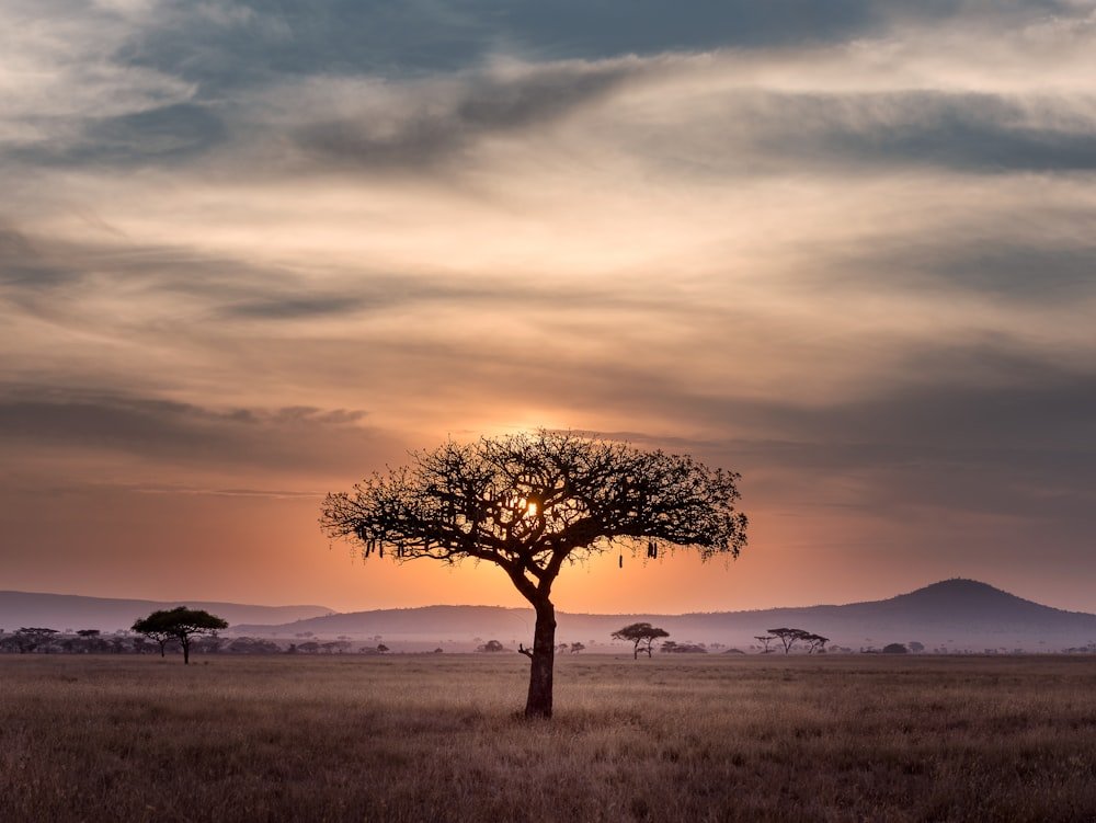 Zimbabwe & Victoria Falls